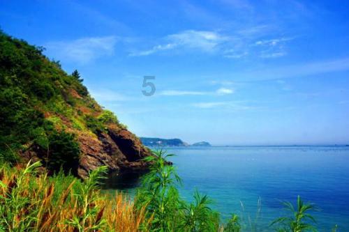 为什么以前的打蛔虫药能见到打下来的虫，而现在的看不到呢？